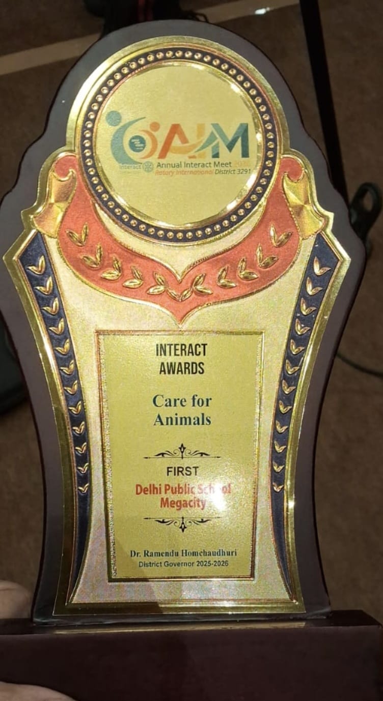 Interact Club Awards